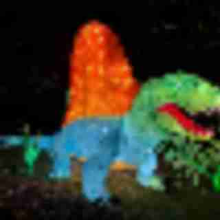 Things to Do in Bergen County Week of November 13