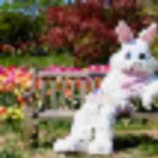 Things to Do in Bergen County Week of March 13