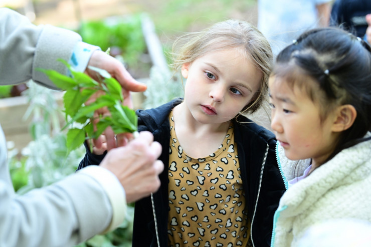 Feels Like Home (dedicated)