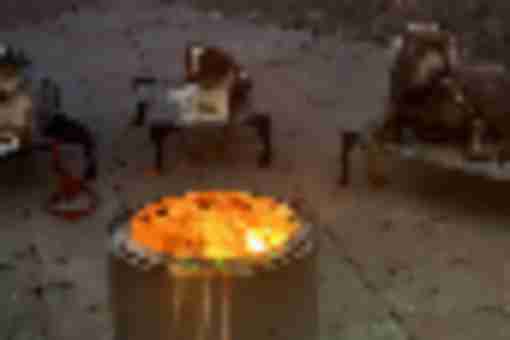 Unlock the Mystery of Your Dog’s Behavior with Disciplined Dog Trainer (dedicated)