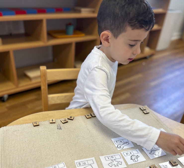 Talk of the Town (dedicated)