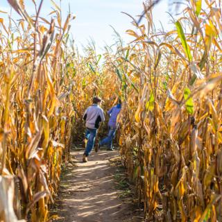 The Best Fall Festivals In and Around Bergen County