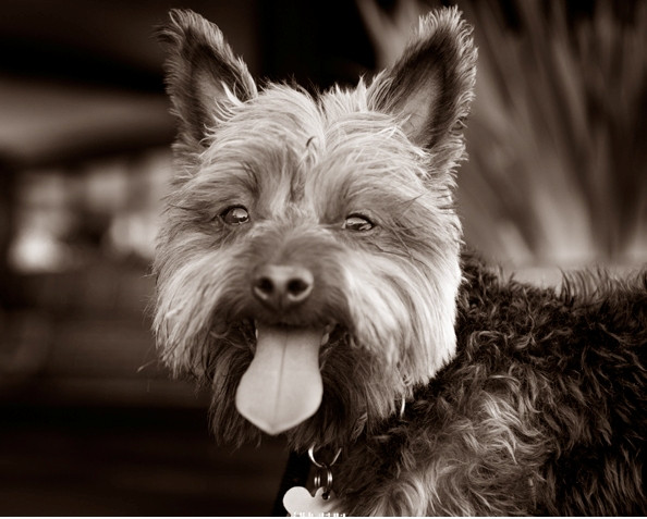 Bergen Events Not To Miss: Week of March 29th