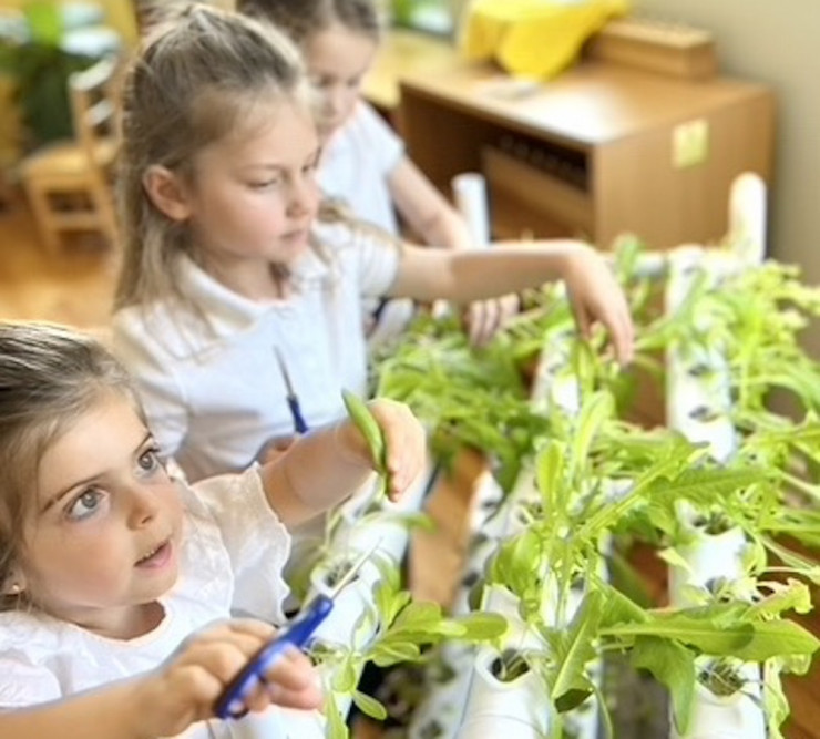 Curiosity Thrives Here (dedicated)