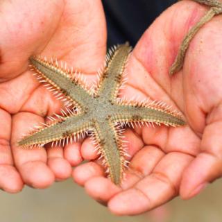 Vacation Anytime at These Remote Learning-Friendly Resorts