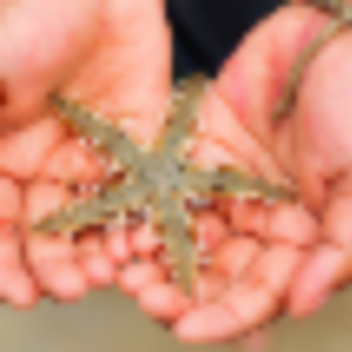 Vacation Anytime at These Remote Learning-Friendly Resorts