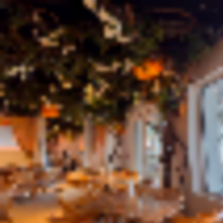 Trata on the River Opens in Piermont, NY