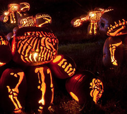 Things to Do in Bergen County: October 9th