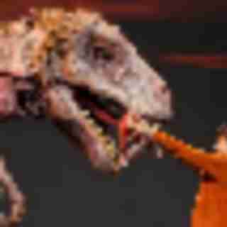 Things to Do in Bergen County Week of January 31