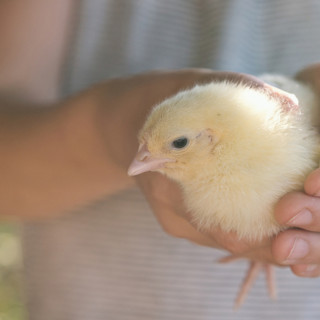 Easter Events Round Up