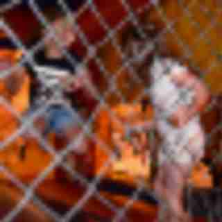 A Day of Family Fun at Kaplen JCC on the Palisades (dedicated)