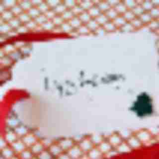 Bergen Holiday Happenings: Van Saun Park Zoo and more