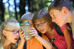 Farm and Nature Summer Camps in Bergen County, New Jersey