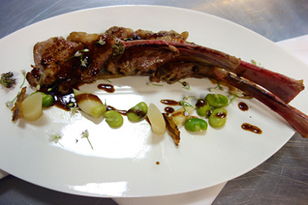 Novo Mediterranean Opens in Ridgewood