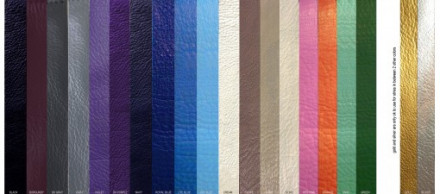 You’ve Got Fall in the Bag