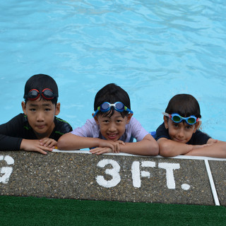 Theme Days and FUN at Palisades Country Day Camp and Palisades Rainbow Camp NJ (dedicated)