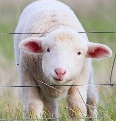 Bergen Events Not to Miss: Week of March 20th