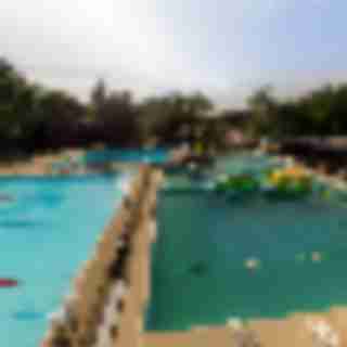 Spring Lake Day Camp: Home of the Happiest Campers (dedicated)