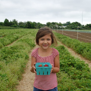 Berry Picking Farms in Bergen County, New Jersey