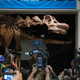 Things to Do in Bergen County for Martin Luther King Day